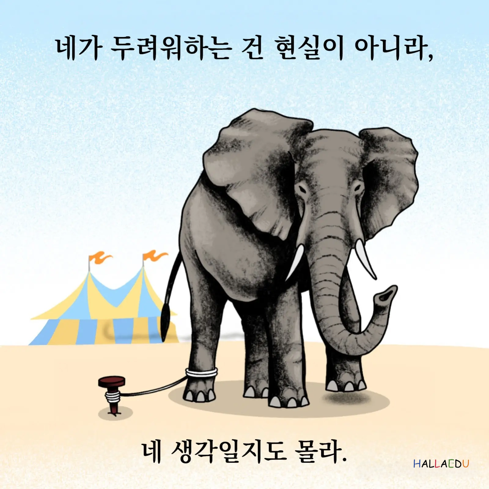 이미지명