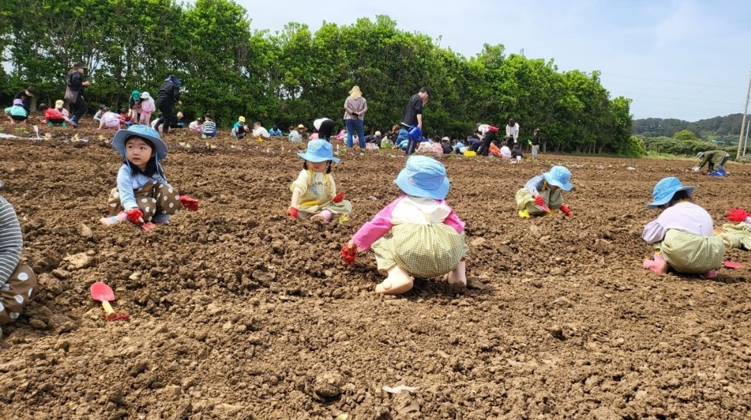 이미지명