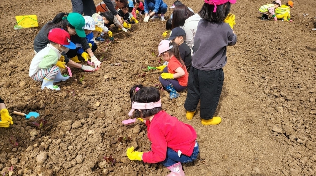 이미지명